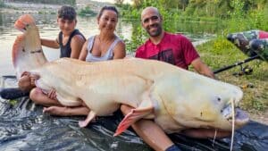 Un pescador captura al monstruo del río Ebro: un enorme siluro blanco de casi 100 kilos