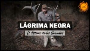 Así se forjó la leyenda del ciervo 'Lágrima Negra', cazado en la Sierra de La Culebra en la berrea