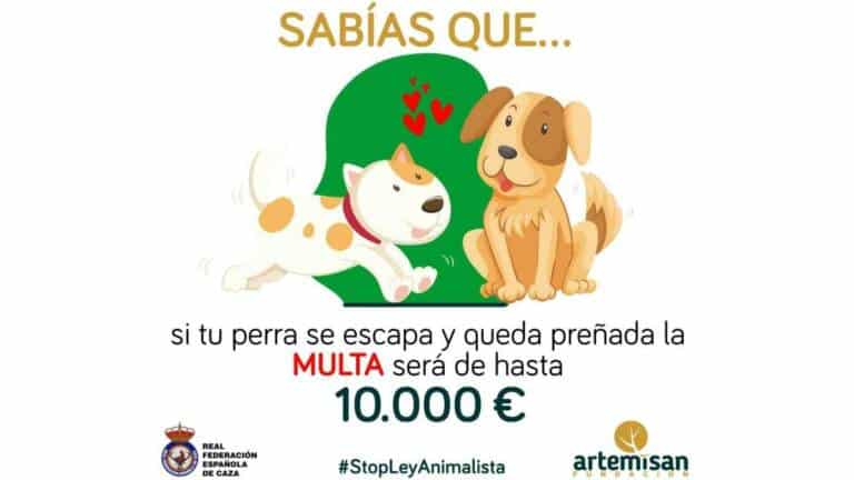 La ley animalista multará con hasta 10.000€ al dueño de una perra que se  quede preñada sin permiso