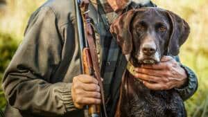 Las mentiras sobre los perros de caza como arma política