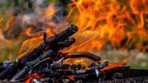 El Gobierno prohíbe quemar restos vegetales en el campo con la nueva ley de residuos