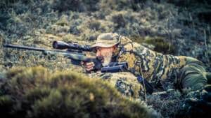 Caza de ciervos en berrea: consejos para disparar con precisión