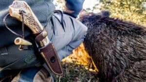Científicos, ganaderos y veterinarios fomentan la caza por ser una herramienta esencial para el control del jabalí