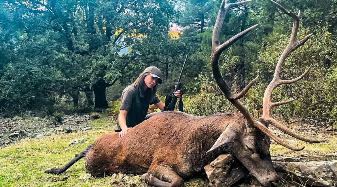 Una cazadora abate un espectacular ciervo selectivo en Ávila durante la berrea