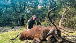 Una cazadora abate un espectacular ciervo selectivo en Ávila durante la berrea