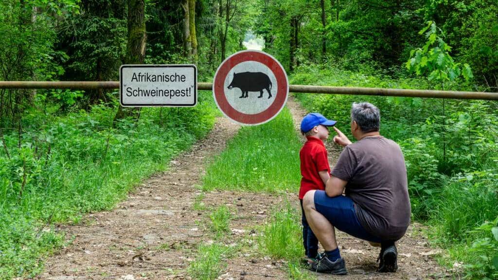 Un camino de Alemania cortado con un cartel que advierte de la presencia del virus en la zona.