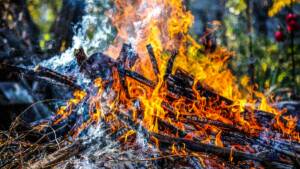 La enmienda para que los restos de poda puedan seguir quemándose avanza en su tramitación parlamentaria