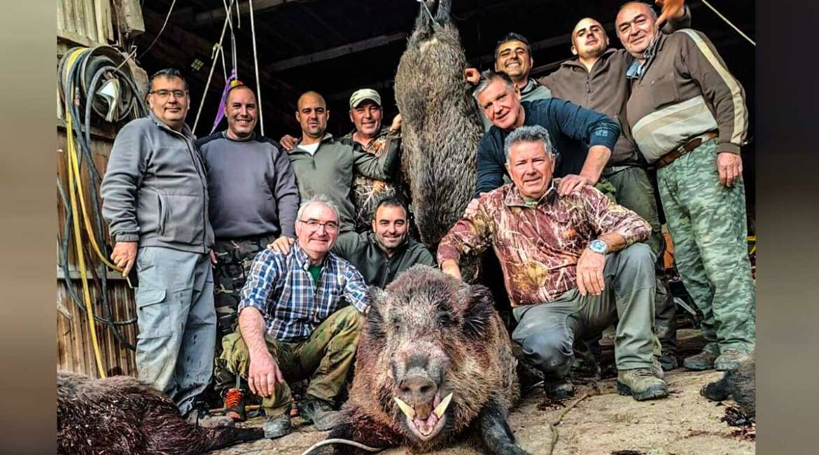 Cazan un jabalí de casi 200 kilos en una batida en Teruel