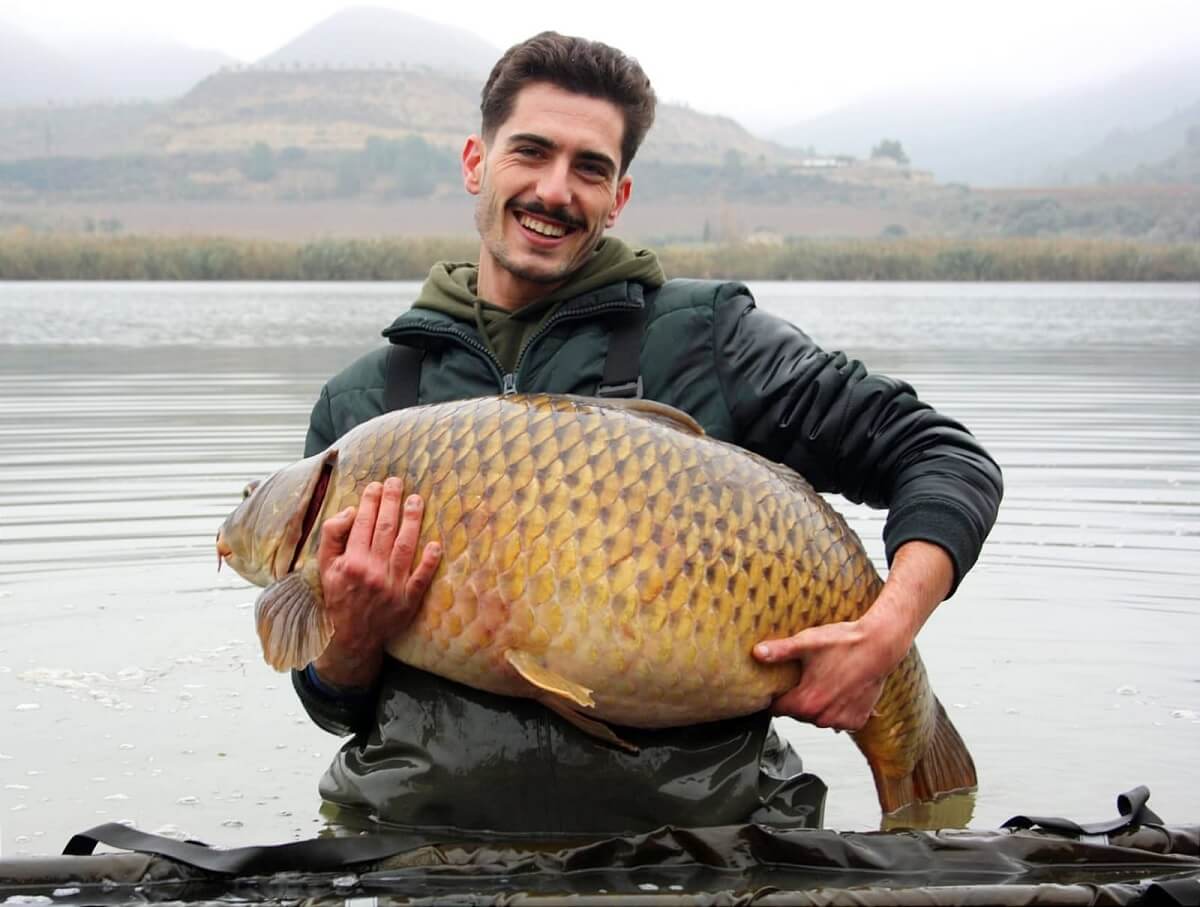 Alimento Para Pez Japones Carpa Koi (aumenta El Color) Koi Vibrance