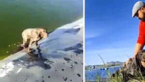 Un cazador salva la vida a un perro a punto de ahogarse en un embalse de Murcia