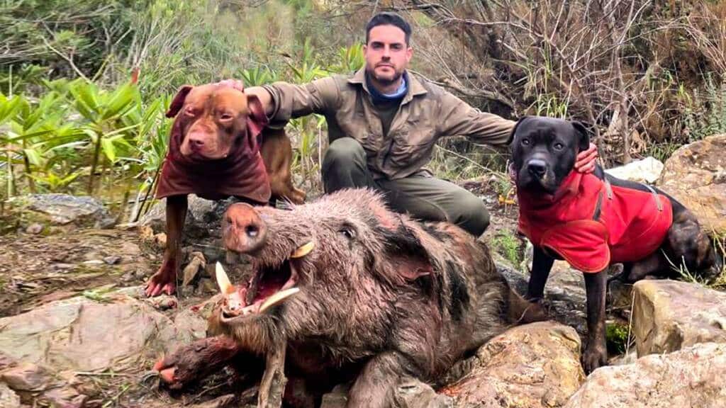 El cazador junto a sus perros: un alano español y un dogo argentino.