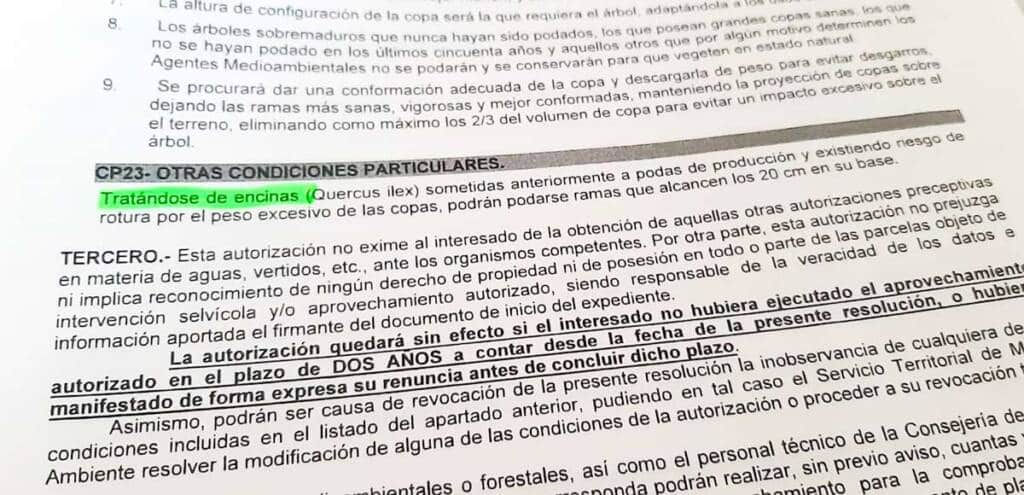 Captura de una autorización para poda de la Junta de Castilla y León que prohíbe cortar ramas de más de 20 centímetros.