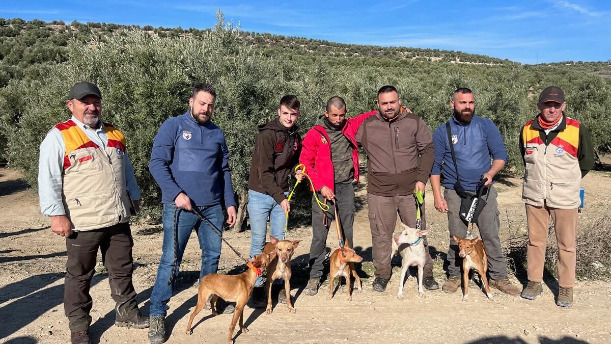 Un nuevo éxito en el Campeonato de España consolida a Baeza como referente  nacional de la caza con podencos