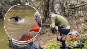 Un cazador se quita los pantalones y se lanza a un río helado para cobrar un jabalí