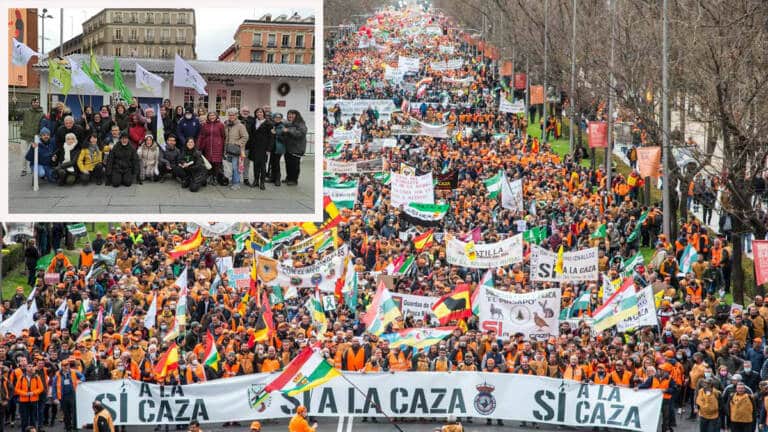 Misma ciudad, diferentes manifestaciones: en pequeño, la de los 30 manifestantes a favor de la ley animalista. En grande, la del medio millón de españoles que pidieron su retirada.