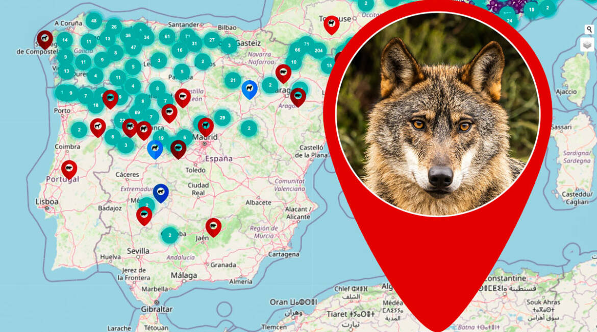Imagen del mapa junto a un lobo.