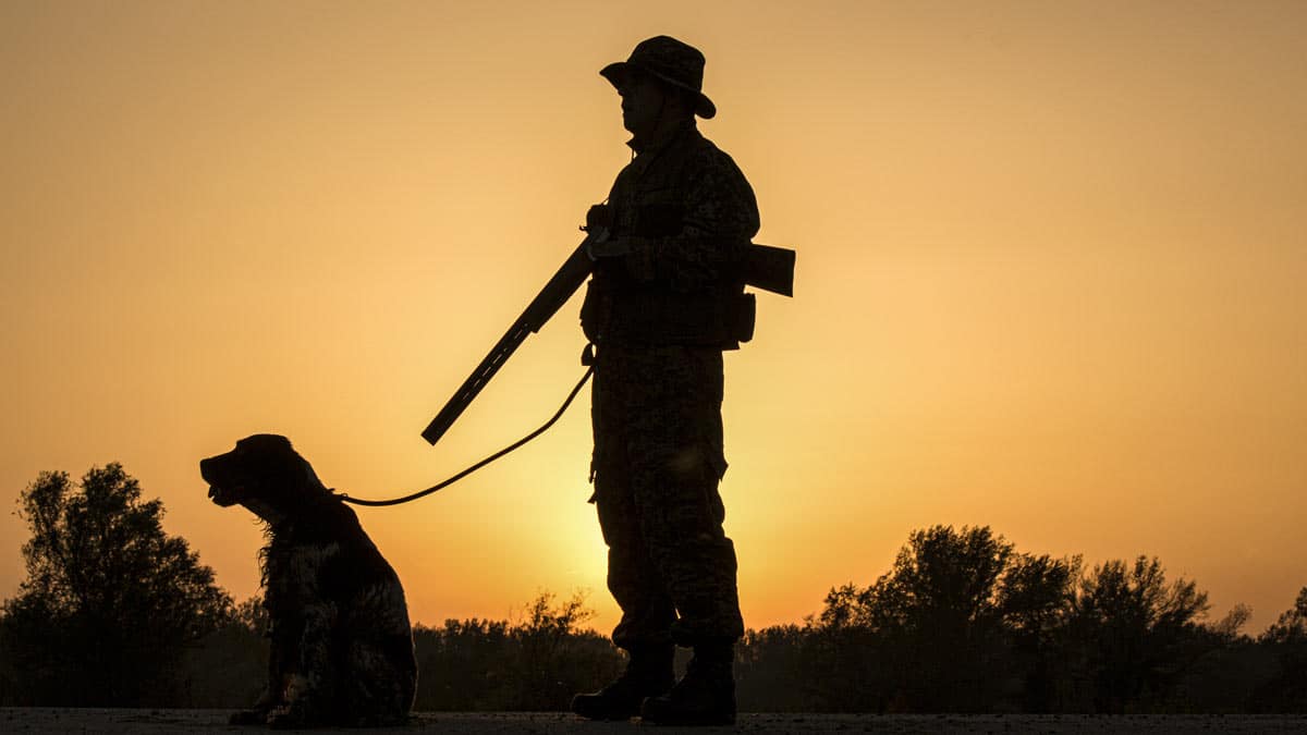 Así ha quedado redactada la reforma del Código Penal en materia de maltrato animal que amenaza a la caza