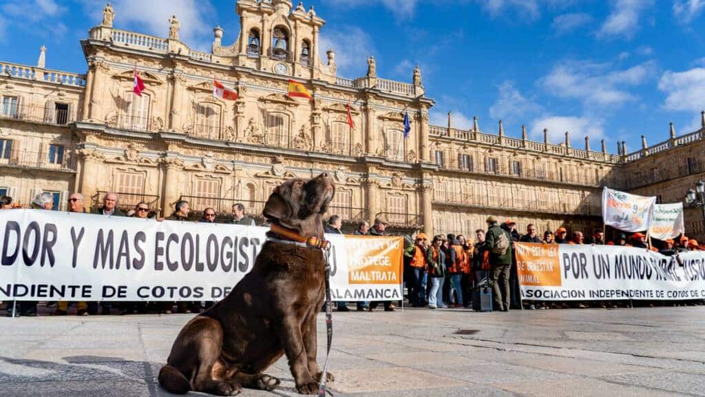 Un perro de caza en la protesta contra la ley animalista en Salamanca.