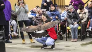 La FAC acerca la cetrería y los perros de caza a un centenar de personas con parálisis cerebral en Granada