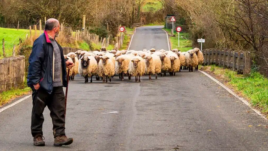 Un pastor en el País Vasco en una imagen de archivo.