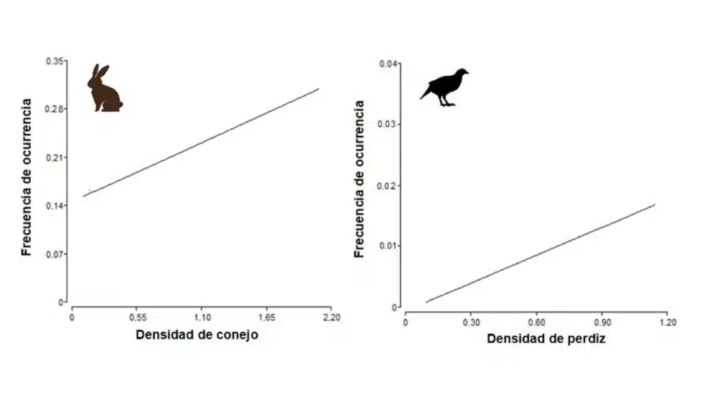 Frecuencia de ocurrencia de conejo y perdiz en la dieta de jabalí en función de la abundancia poblacional de estas especies.