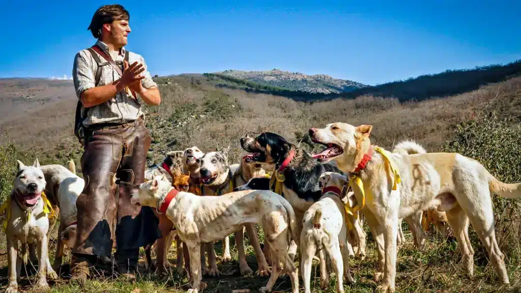 Un rehalero con sus perros en una imagen de archivo.