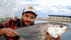 https://revistajaraysedal.es/wp-content/uploads/2021/08/pesca-galicia-puerto.jpg