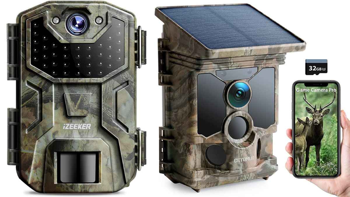 Cámara Solar 4G camuflada – UBICAR GPS