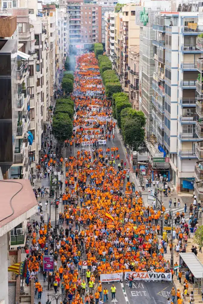 Vista de la manifestación a su paso por la calle Colón. © Israel Hernández