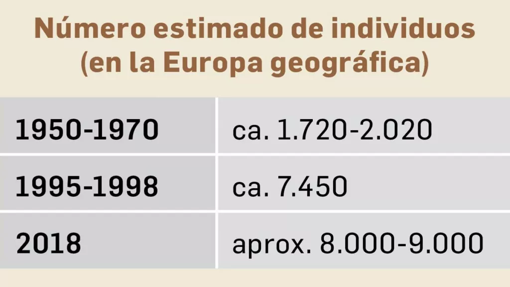 Número de lobos grises en Europa. 