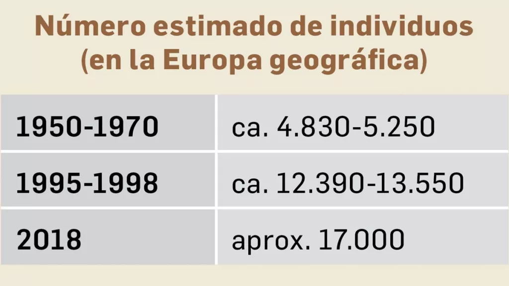 Número de lobos grises en Europa.