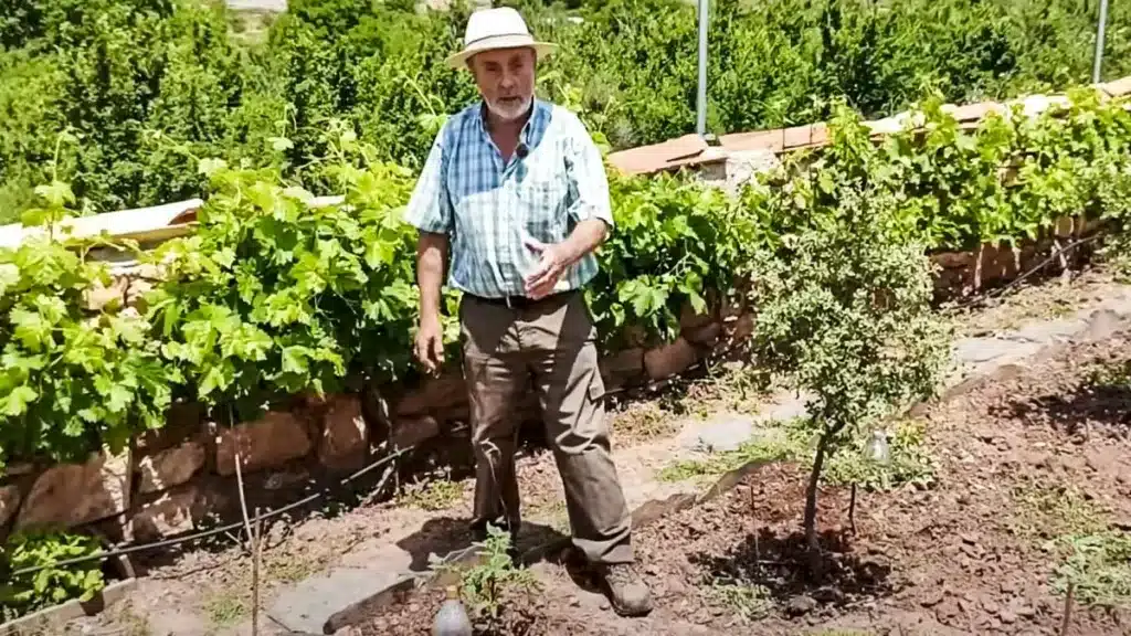 agricultor truco no regar plantas en un mes