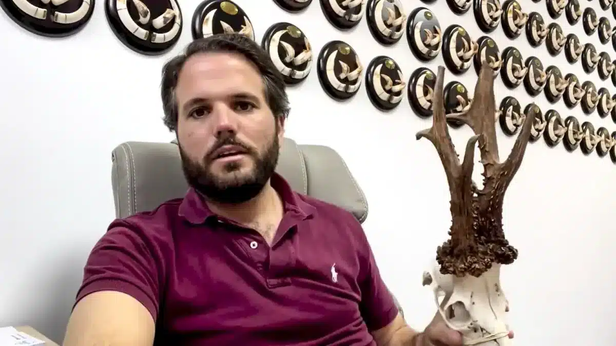 Cazan otro descomunal corzo de más de 200 puntos que podría colarse ...