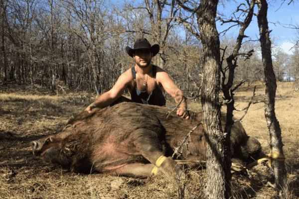 Los 10 jabalíes cazados más grandes del mundo
