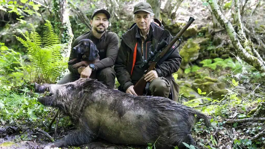 Influencer hunts a large wild boar that appeared while he was recording a live video
