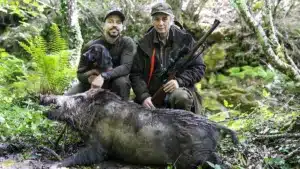 Influencer hunts a large wild boar that appeared while he was recording a live video