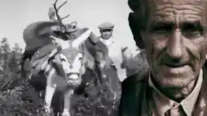 Así fue la primera montería filmada en Sierra Morena: un documental de 1952 que muestra la caza de antaño