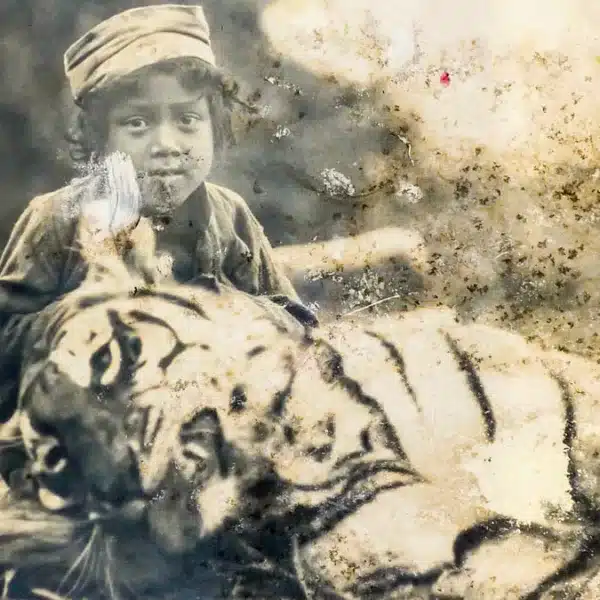 Un niño aldeano posa con la tigresa que devoró a 150 personas. 