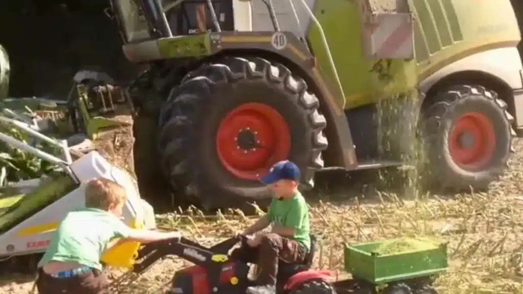 Los dos niños ayudando a la cosechadora