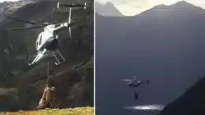 Así bajan a un grupo de ciervos de la montaña: en helicóptero