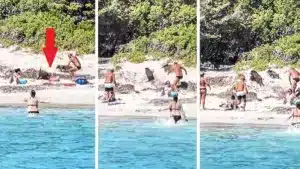 Un jabalí ‘ladrón’ roba la mochila a unos bañistas en una playa del Mediterráneo