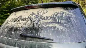 Convierte una luna de un coche llena de polvo en una obra de arte