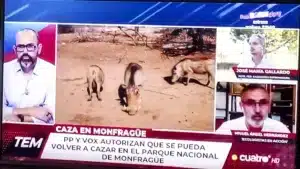 ‘Todo es mentira’ ilustra la noticia de la vuelta a la caza en Monfragüe con jabalíes de África