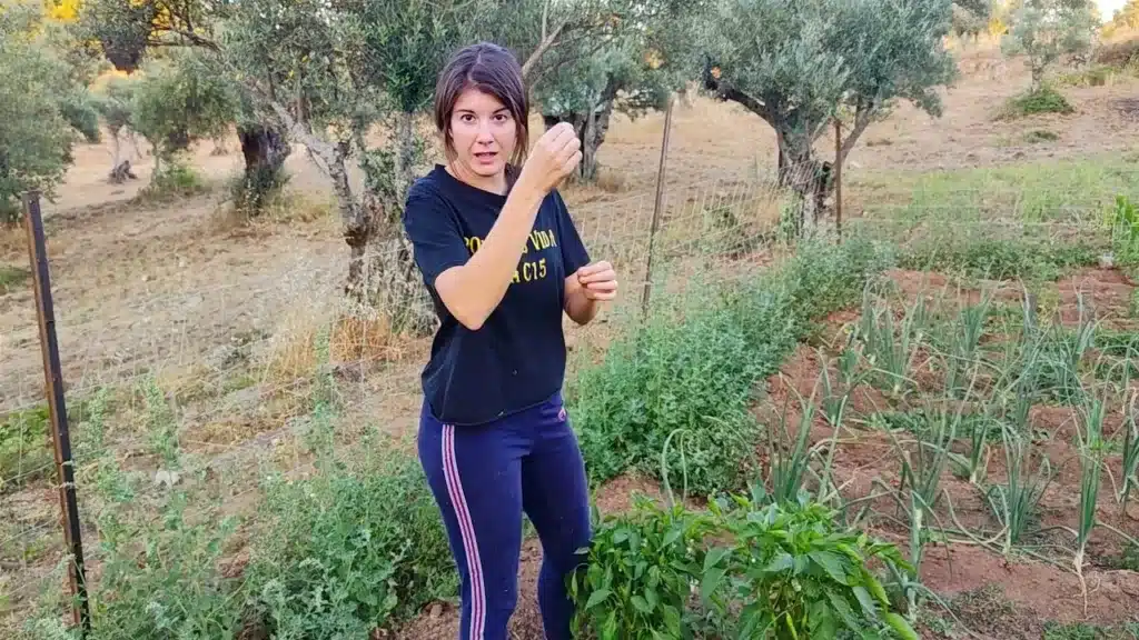 truco tomates