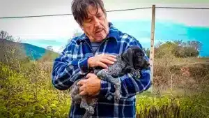 Un cazador de 74 años se enfrenta a una multa de 10.000 euros por adoptar a un perro, lo más visto de 2023