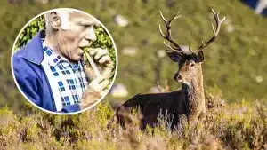 Un antiguo documental muestra los secretos de un viejo cazador para atraer ciervos y zorros usando una hoja