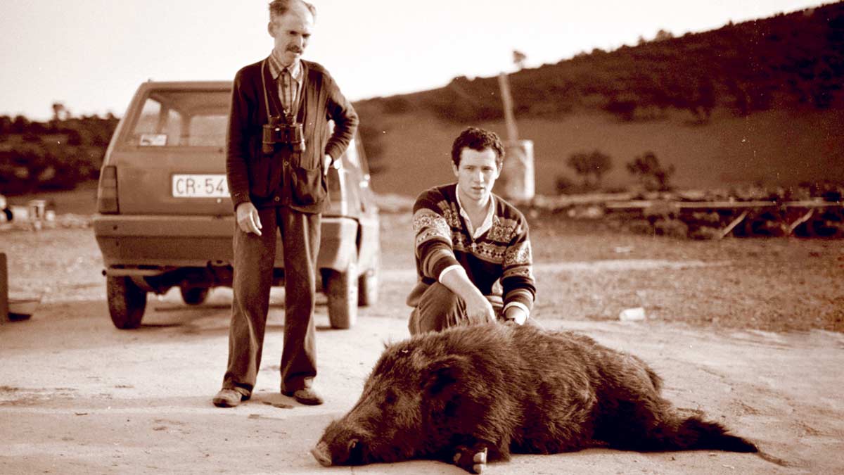 Por qué llevamos 40 años sin batir el récord de España de jabalí?