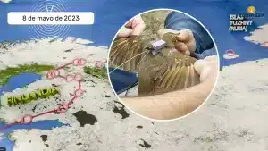 https://revistajaraysedal.es/wp-content/uploads/2021/08/pesca-galicia-puerto.jpg