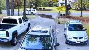 Un ciervo asustado sobrepasa dos coches de un salto y cae en la caja de una pickup