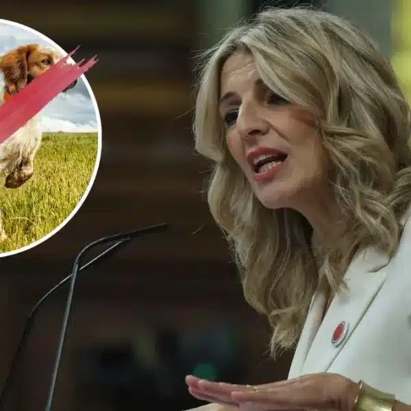 El pacto de Gobierno de PSOE y Sumar no menciona la inclusión de los perros de caza en la ley animalista